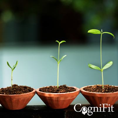 CogniFit Core Technology - The Basis For Cognitive Development